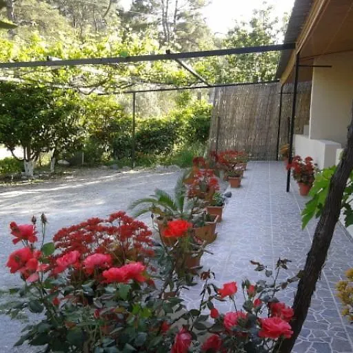 Apartment Rose Apart Sarigerme Turkey